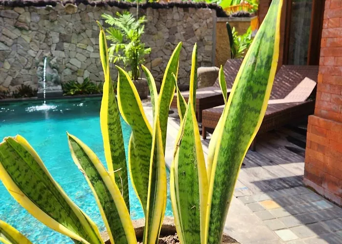 Villa Buda Yana Coliving